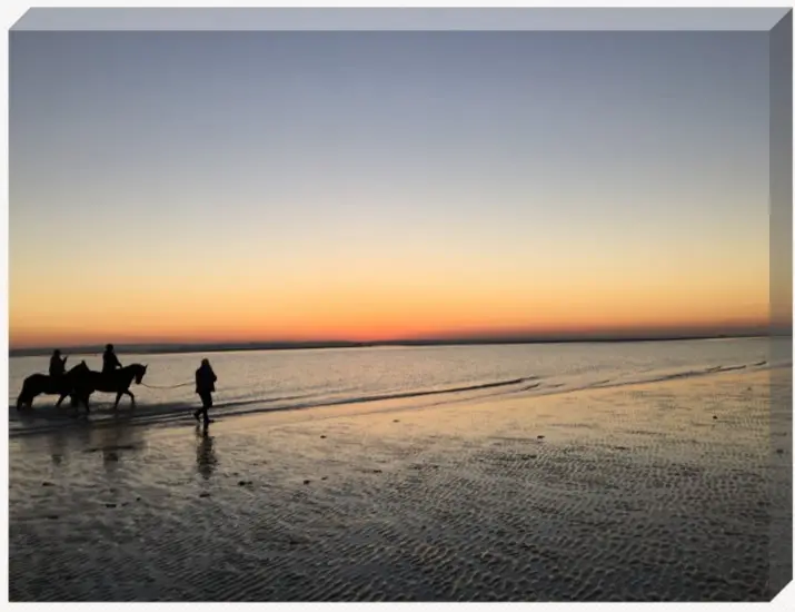 Paddle
